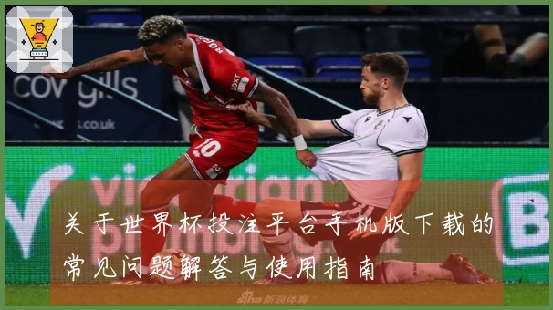 关于世界杯投注平台手机版下载的常见问题解答与使用指南