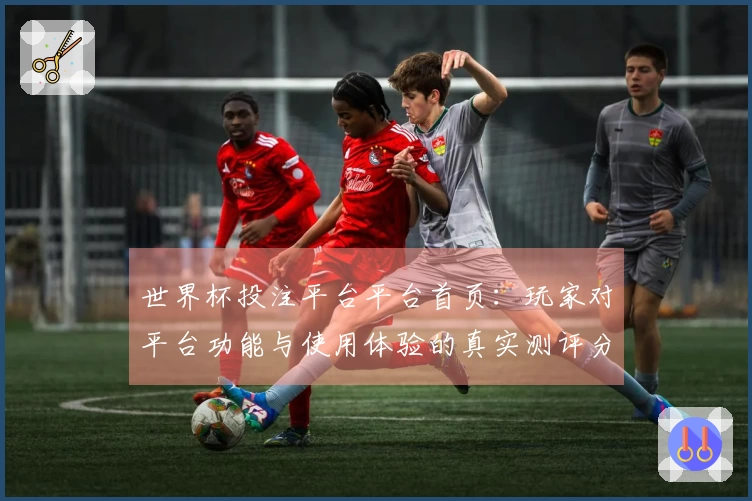 世界杯投注平台平台首页：玩家对平台功能与使用体验的真实测评分享