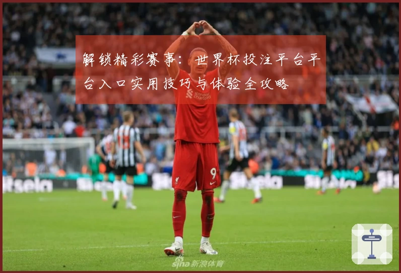 解锁精彩赛事:世界杯投注平台平台入口实用技巧与体验全攻略