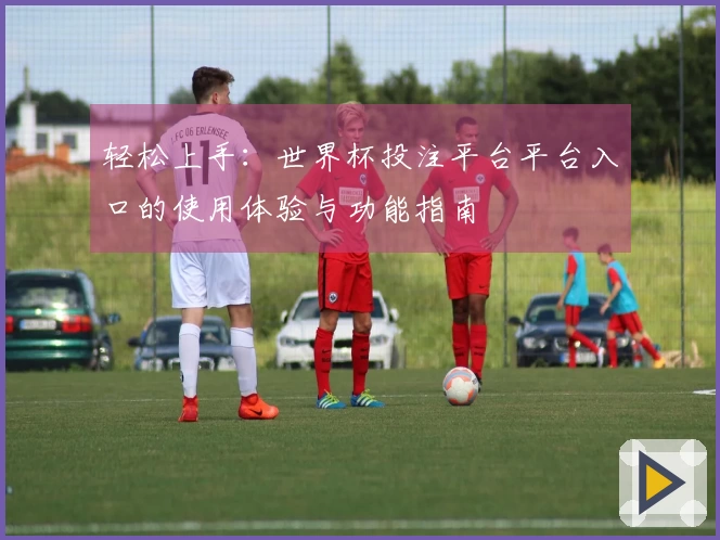 轻松上手：世界杯投注平台平台入口的使用体验与功能指南