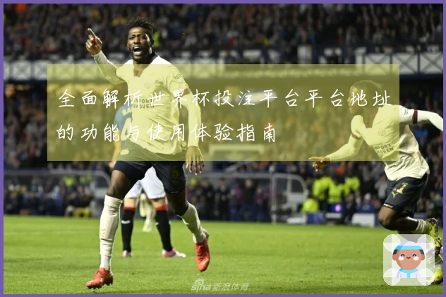 全面解析世界杯投注平台平台地址的功能与使用体验指南